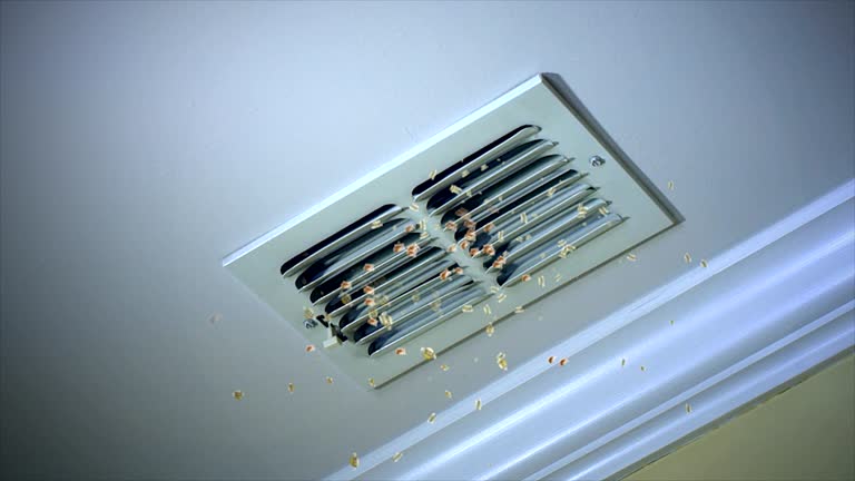 Best Best Air Duct Cleaning Company  in Silver Firs, WA