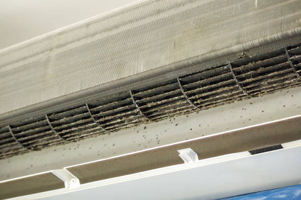 Best Best Air Duct Cleaning Company  in Silver Firs, WA
